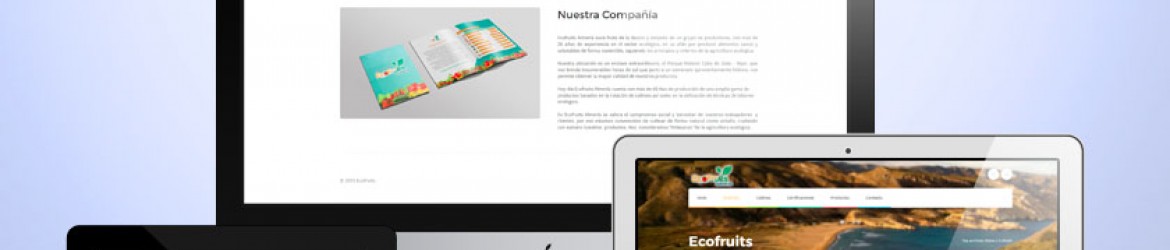 Sección compañía de la web de Ecofruits
