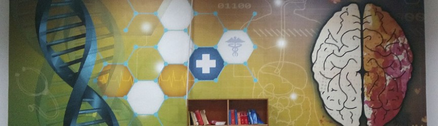 Montaje vinilo temático en aula.