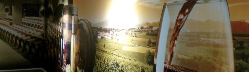 Montaje y rotulación de vinilos diseñados para bodega de vinos.