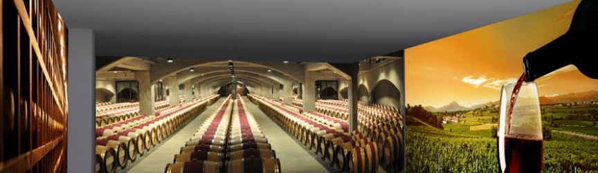 Montaje 3D del proyecto de rotulación con vinilos para bodega de vinos.