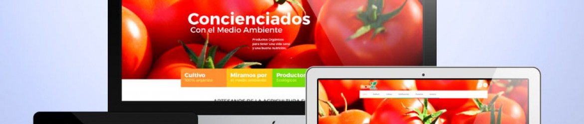 Página de inicio de la web de Ecofruits