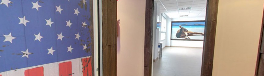 Vinilos temáticos en las aulas