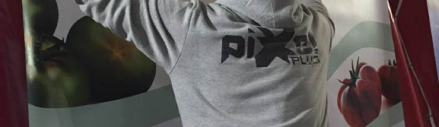 Feria del Tomate 2016, Montaje y Rotulación por Pixel Plus