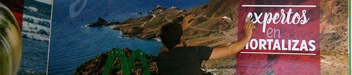 Stand Agrupalmeria para feria Agrícola Expolevante Níjar 2016