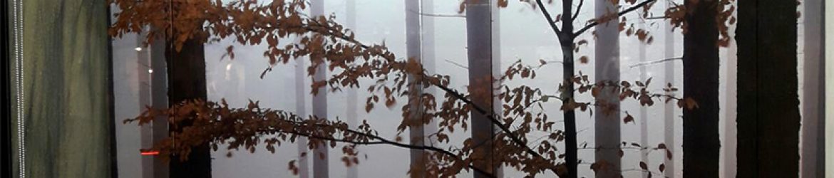 Rotulación Joyería León