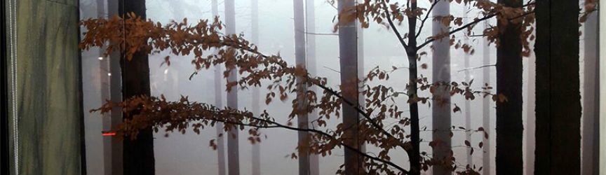 Rotulación Joyería León