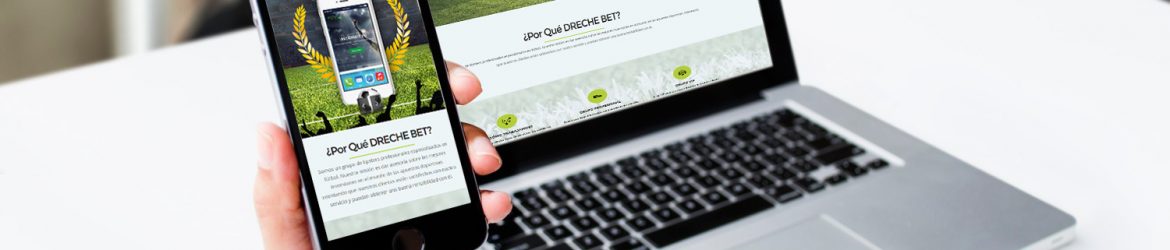 Diseño web Dreche Inversores