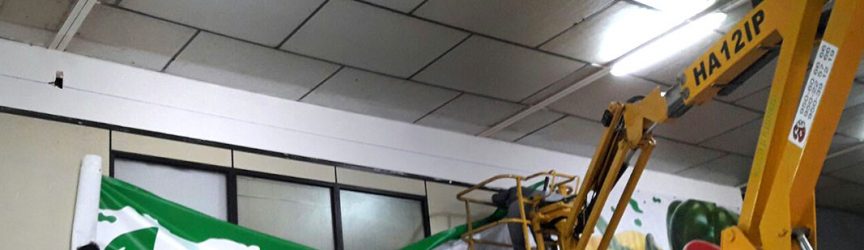 Rotulación Grupo Femago