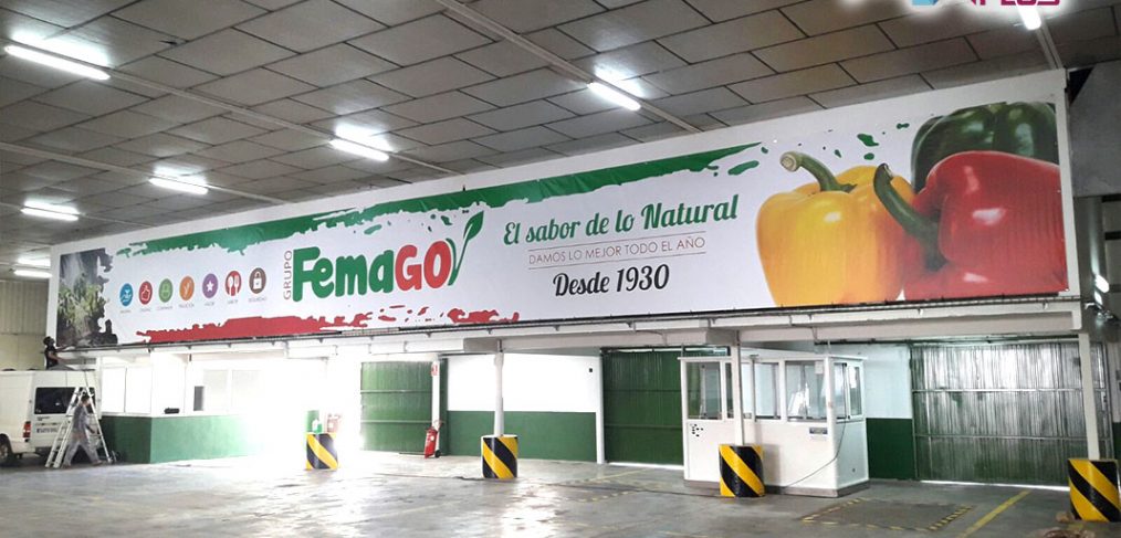 Rotulación Grupo Femago